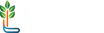 lidea
